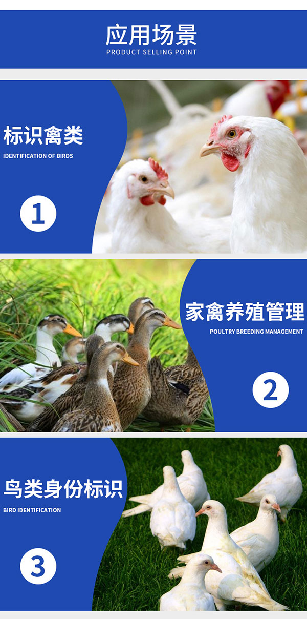 Obrączka na stopę gołębia RFID Low Frequency Animal Management Electronic Tag